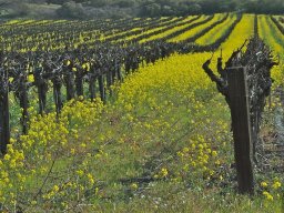 California2007-2008-026